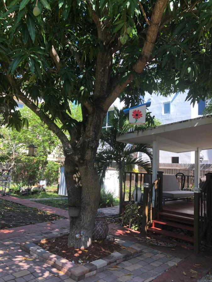 Private Suite Next To Calle Ocho ميامي المظهر الخارجي الصورة